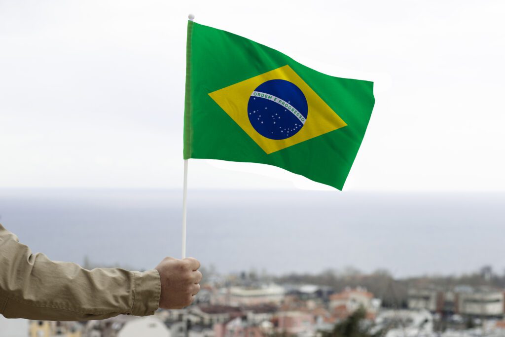 Pessoa segurando bandeira do Brasil